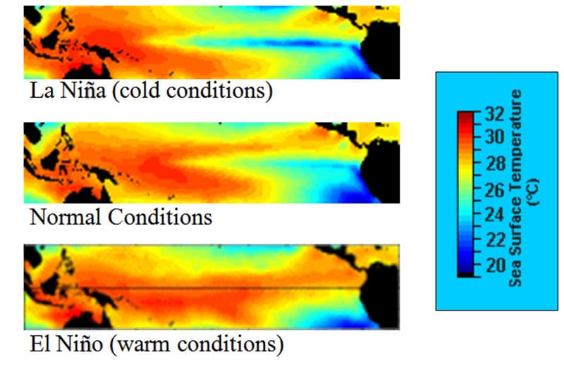 images/1697010933890Aguacates peruanos, arándanos y anomalías climáticas de El Niño afectan importación y exportación de frutas3.jpg